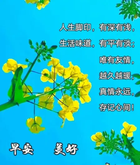 问候语早上好，早上好！带着爱和笑容去迎接今天的一切
